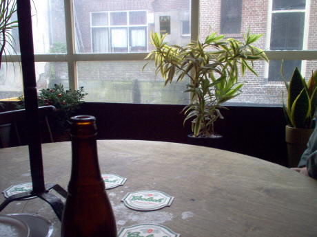 Kooltuintje Alkmaar interior