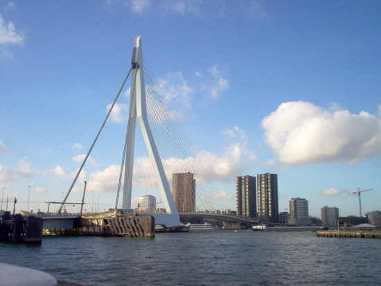 Erasmus bridge